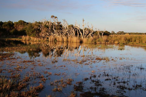 Sapphire Chalets, Augusta - Accommodation Bookings 13