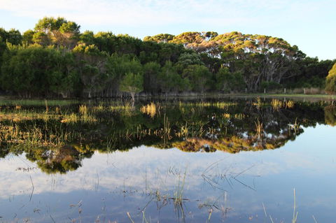 Sapphire Chalets, Augusta - Accommodation Bookings 14