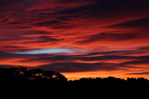 Sapphire Chalets, Augusta - Accommodation Bookings 15