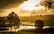 Yanchep Beach Retreat - thumb 37