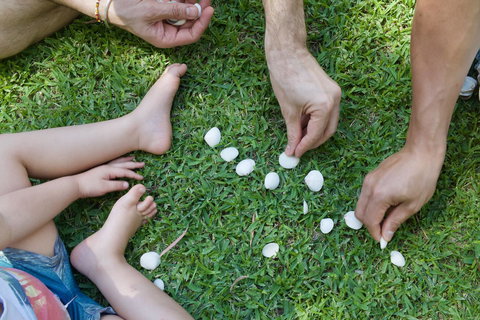 Broadwater Resort WA Tourism Awards 2024 Gold Winner - Accommodation Bookings 8