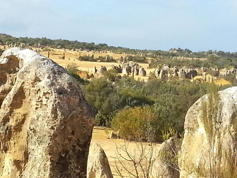 The Heights Bed & Breakfast - Accommodation Bookings 5