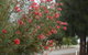 The Heights Bed & Breakfast - thumb 0