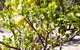 The Heights Bed & Breakfast - thumb 17