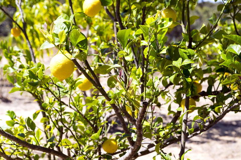 The Heights Bed & Breakfast - Accommodation Bookings 17