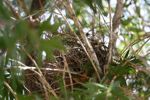 The Heights Bed & Breakfast - Accommodation Bookings 7