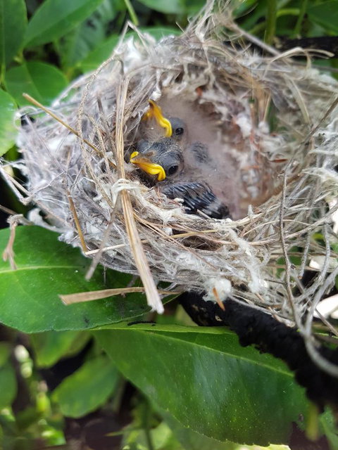 The Heights Bed & Breakfast - Accommodation Bookings 2