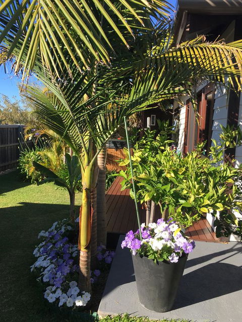 Bella Bali Gardens - Accommodation Bookings 23