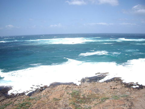 Bella Bali Gardens - Accommodation Bookings 30