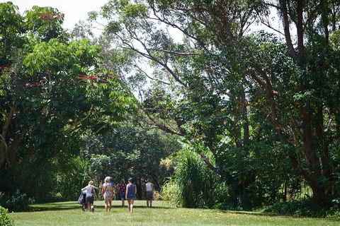 Ingenia Holidays Byron Bay - Accommodation Bookings 11