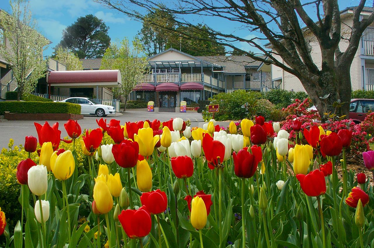  Accommodation Bookings