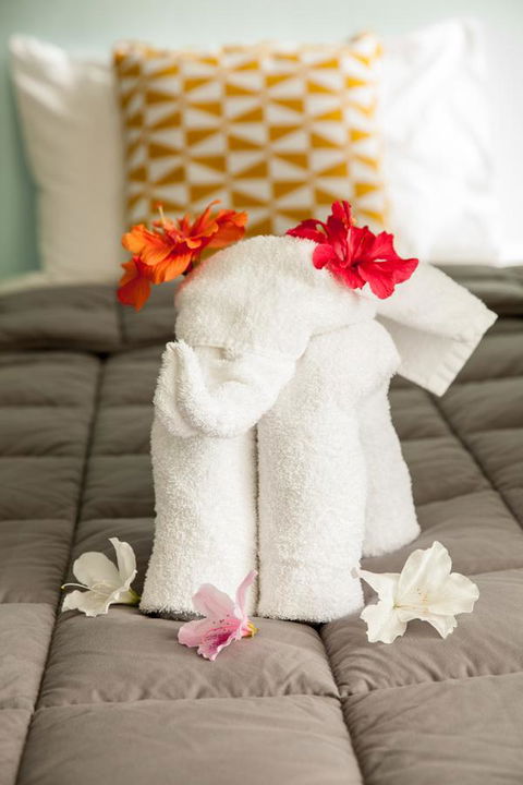 Kempsey Rose Motor Inn - Accommodation Bookings 17