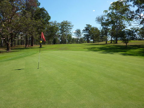 Kempsey Rose Motor Inn - Accommodation Bookings 3