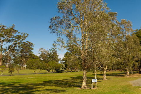 Kempsey Rose Motor Inn - Accommodation Bookings 32