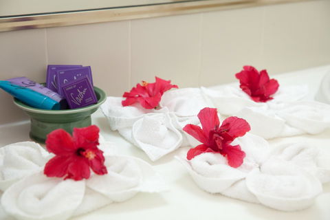 Kempsey Rose Motor Inn - Accommodation Bookings 14