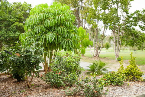 Kempsey Rose Motor Inn - Accommodation Bookings 42