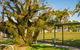 Kempsey Rose Motor Inn - thumb 41