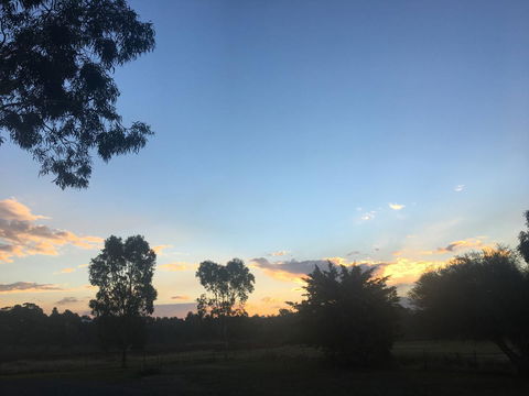 Junee Motor Inn - Accommodation Bookings 26