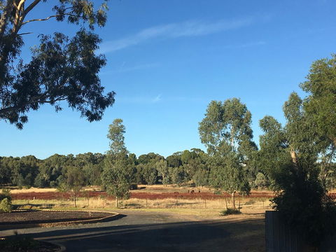 Junee Motor Inn - Accommodation Bookings 24