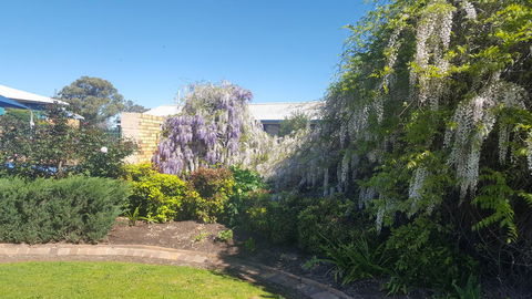 Almond Inn - Accommodation Bookings 28