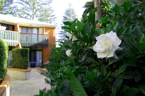 The Crest Byron Bay - Accommodation Bookings 29