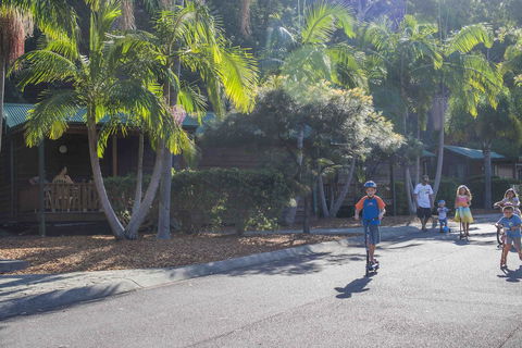 The Palms At Avoca - Accommodation Bookings 14