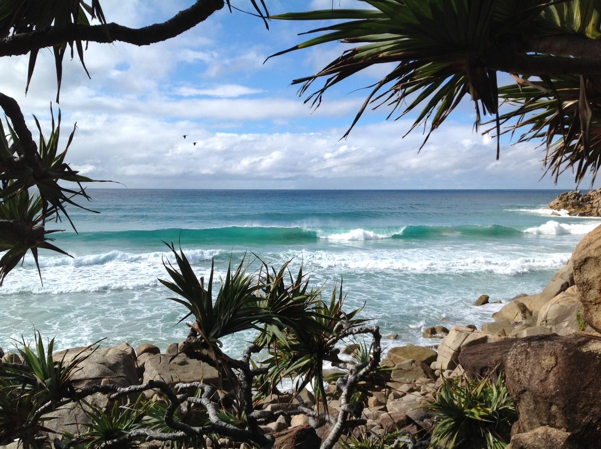 Churchill View Forster - thumb 1