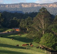 Amaroo Valley Springs - Accommodation Bookings