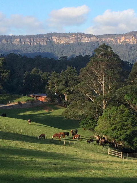 Amaroo Valley Springs - Accommodation Bookings 0
