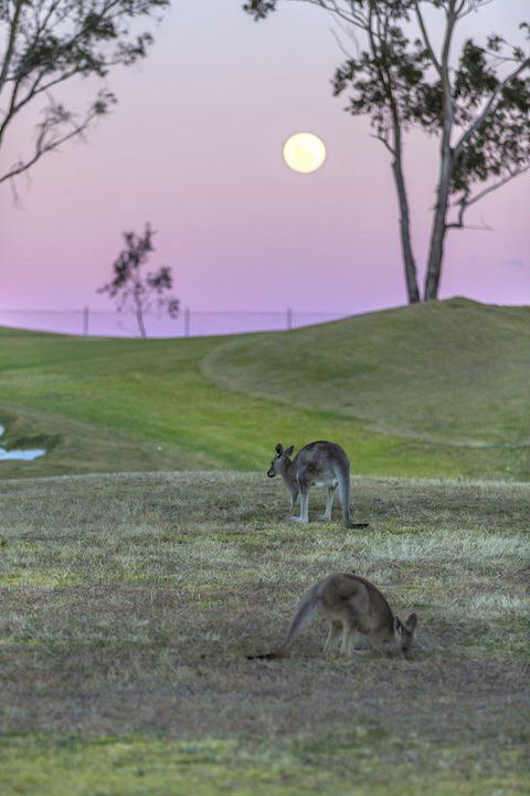 Oaks Cypress Lakes Resort - Accommodation Bookings 28