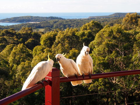 Bundle Hill Cottages - Accommodation Bookings 2