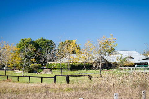 Potters Apartments - Accommodation Bookings 26