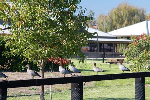 Potters Apartments - Accommodation Bookings 25