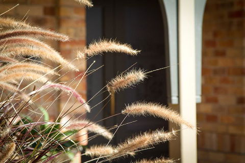 Potters Apartments - Accommodation Bookings 41