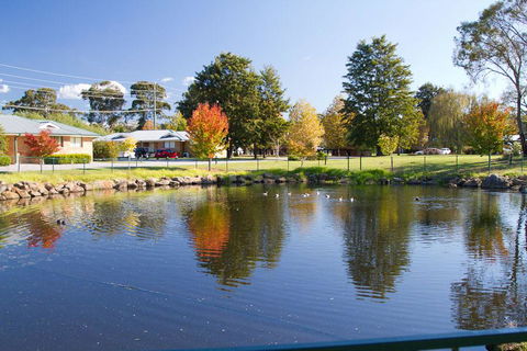 Potters Apartments - Accommodation Bookings 39