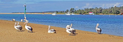 Pelican Motor Inn - Accommodation Bookings 29