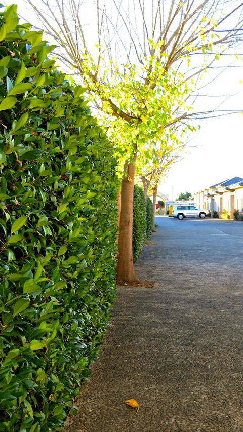 Best Western Plus Goulburn - Accommodation Bookings 37