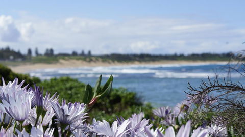 Blue Lagoon Beach Resort - Accommodation Bookings 18