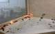 The Boathouse Resort Luxury Apartments - thumb 20