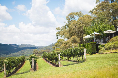 Borrodell Vineyard - Accommodation Bookings 12