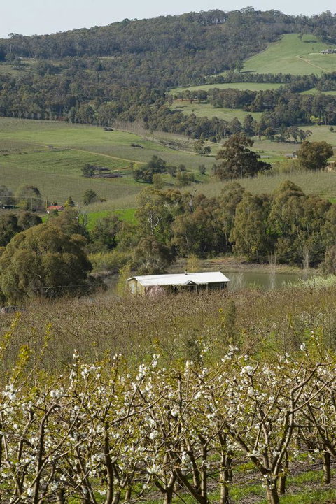 Borrodell Vineyard - Accommodation Bookings 30