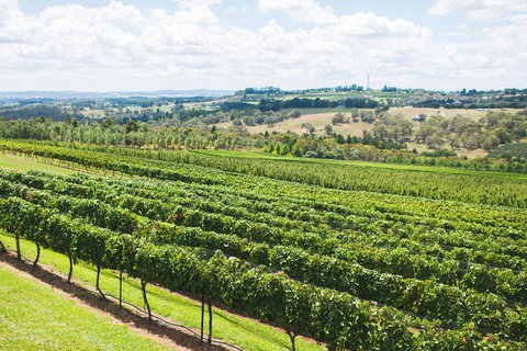Borrodell Vineyard - Accommodation Bookings 29