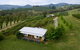Borrodell Vineyard - thumb 2