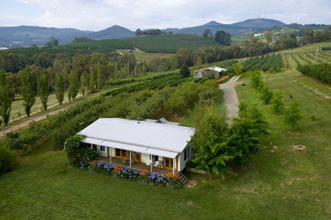 Borrodell Vineyard - Accommodation Bookings 2