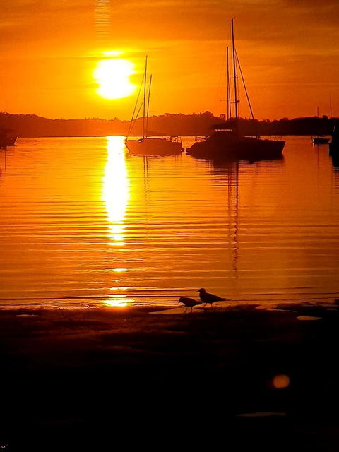 Marina Resort - Accommodation Bookings 3