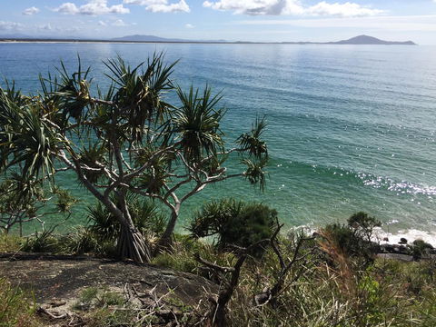 Hat Head Beach Cottage 1 - Accommodation Bookings 23