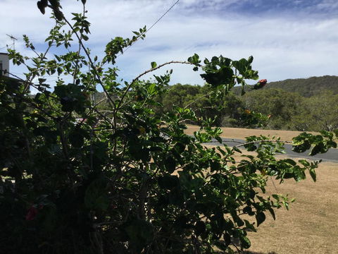 Hat Head Beach Cottage 1 - Accommodation Bookings 2