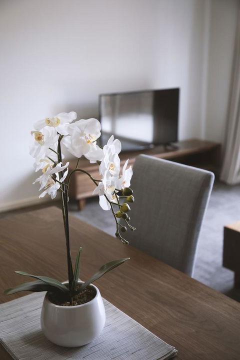 Quest Wagga Wagga - Accommodation Bookings 11