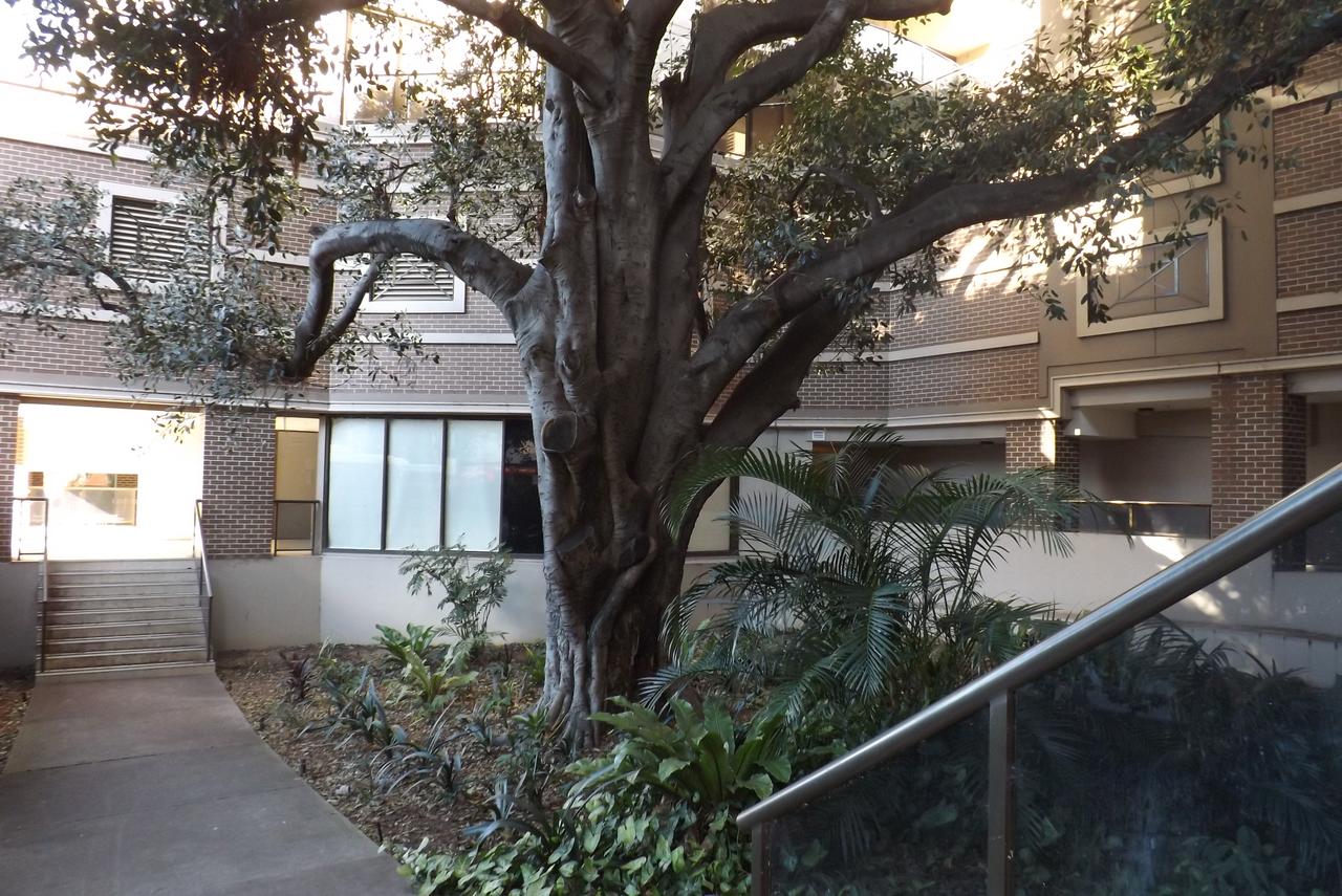 Fiori Apartments - thumb 32