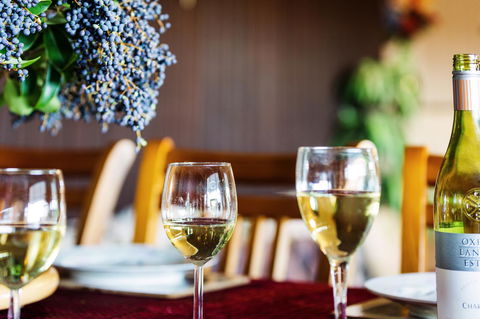 Coal D\' Vine VIEW - Cessnock NSW - Accommodation Bookings 37